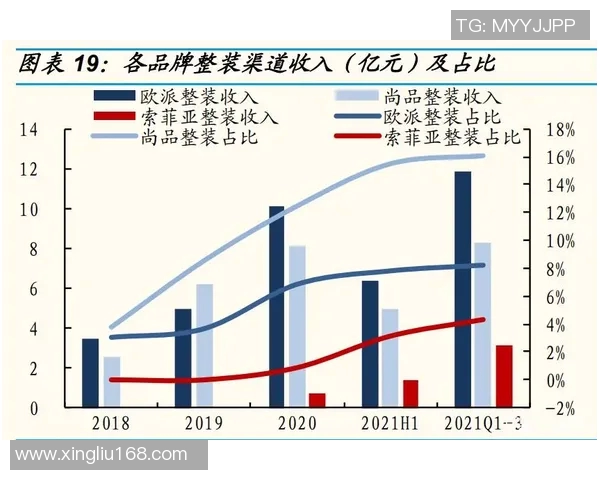 西安篮球队个人能力分析与战术配合的深度探讨