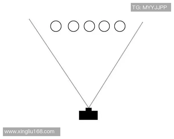 西安羽毛球队战术分析与提升策略探讨全景解析