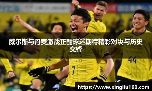 威尔斯与丹麦激战正酣球迷期待精彩对决与历史交锋