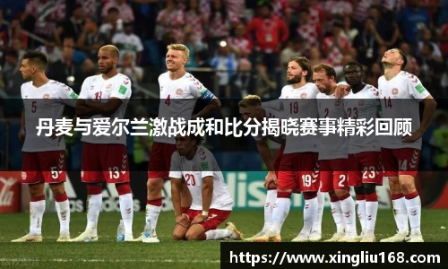 丹麦与爱尔兰激战成和比分揭晓赛事精彩回顾