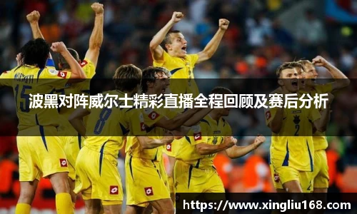 波黑对阵威尔士精彩直播全程回顾及赛后分析