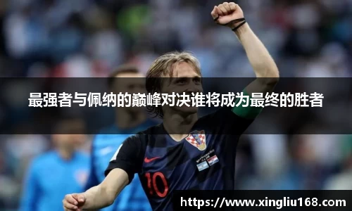 最强者与佩纳的巅峰对决谁将成为最终的胜者