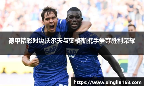 德甲精彩对决沃尔夫与奥格斯携手争夺胜利荣耀
